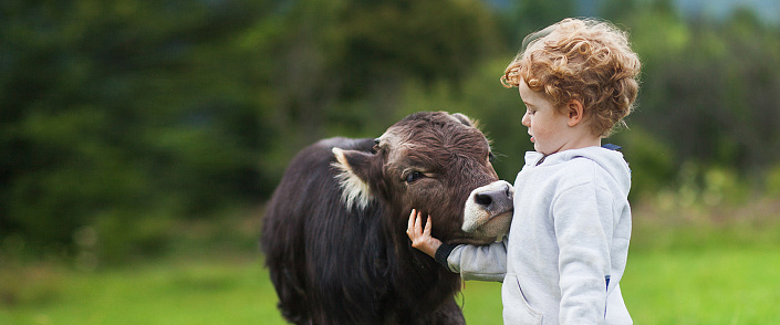 Разговаривая с детьми о животных. Как противоречиво общество учит уважению