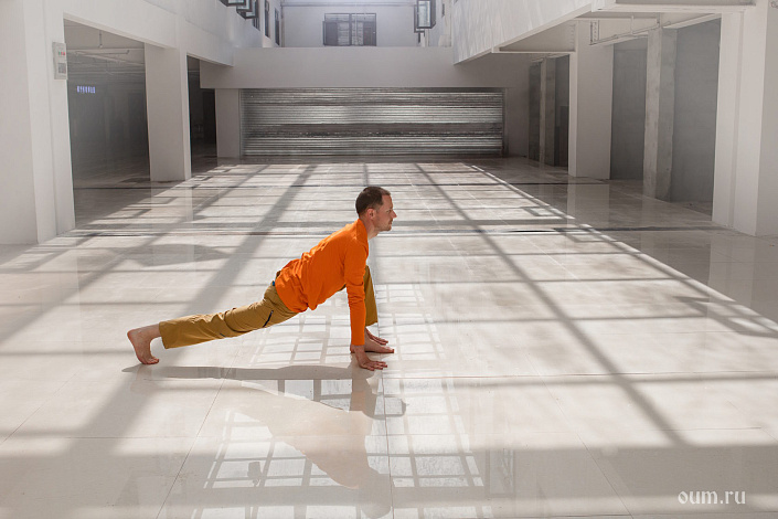 Фото 5 ашва-санчаланасана