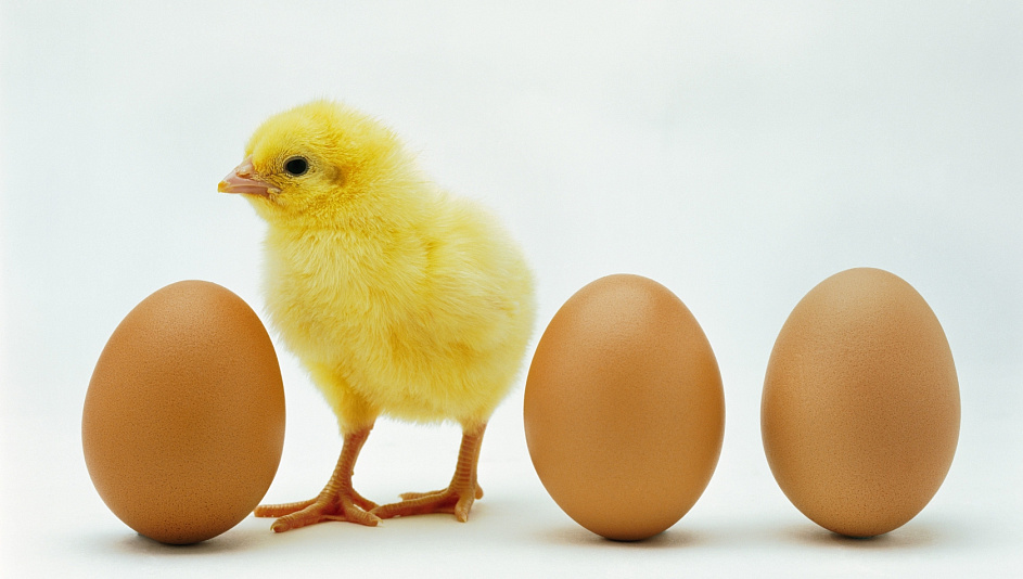 Исследование: употребление яиц повышает риск развития диабета