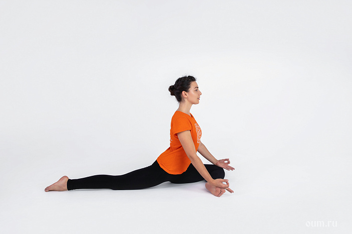 Эка Пада Раджа Капотасана 