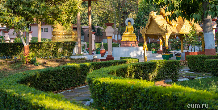 Сутра о Цветке Лотоса Чудесной Дхармы // Глава VIII Пятьсот учеников получают предсказания