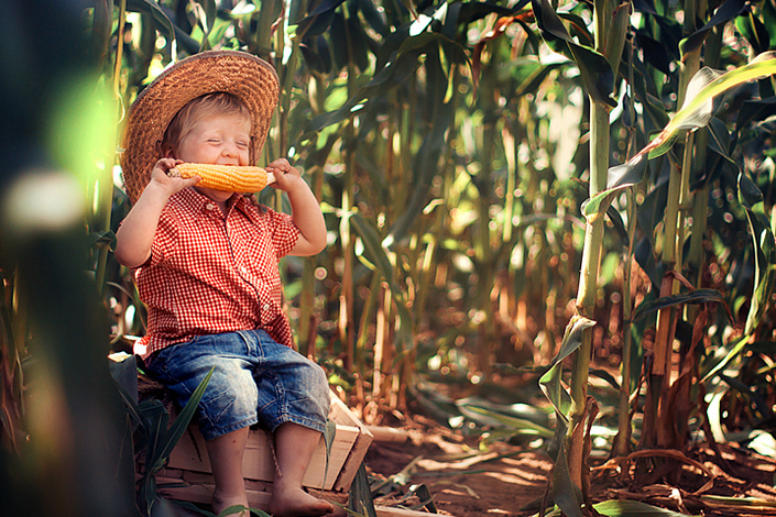 мальчик ест кукурузу, поле