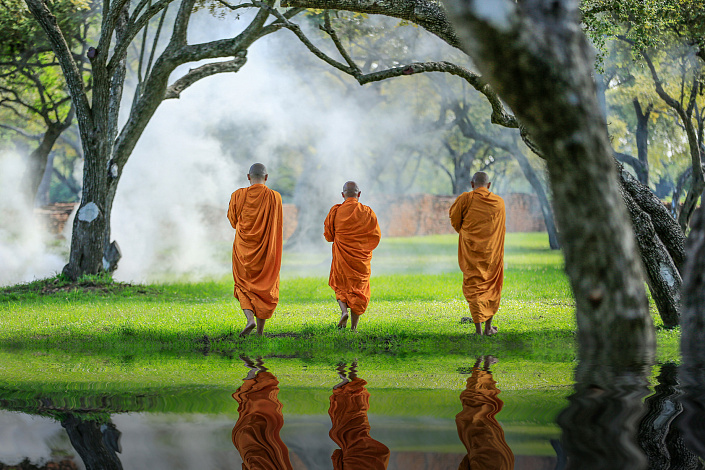 буддийские монахи в лесу фото