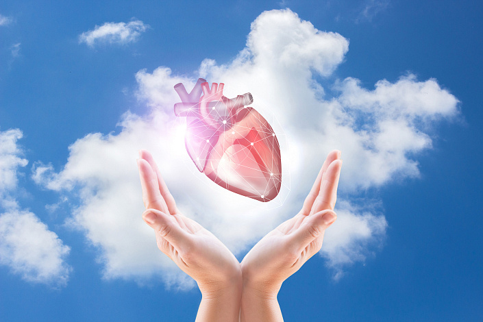 здоровое сердце фото