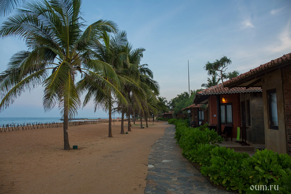 Отель на берегу океана фото