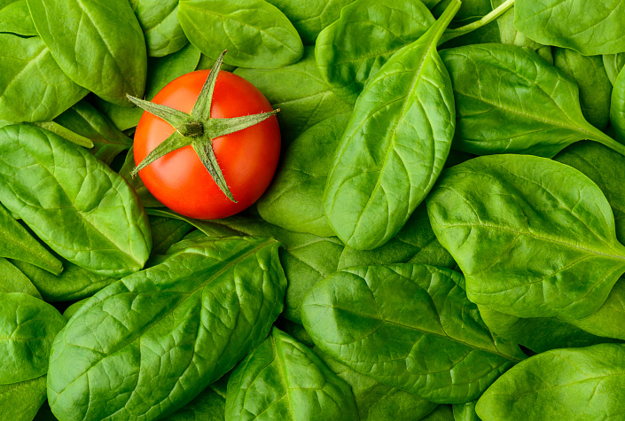 шпинат фото