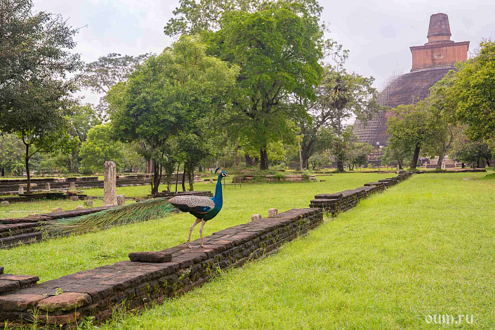 Фото 10 Фундамент