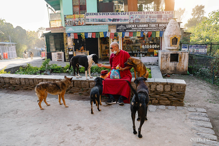 сострадание к живым существам фото