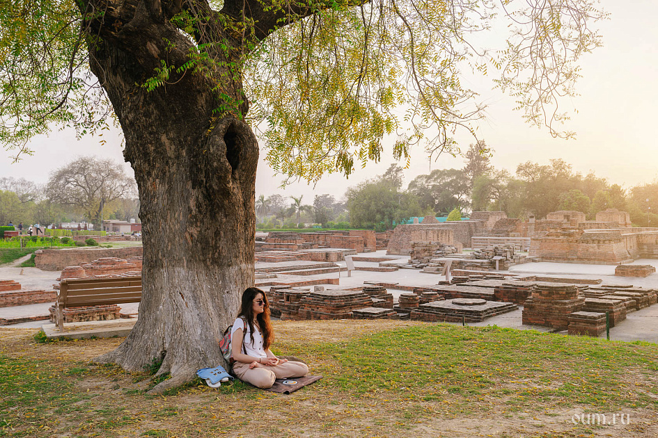 Коротко время жизни, а ветви знания неисчислимы