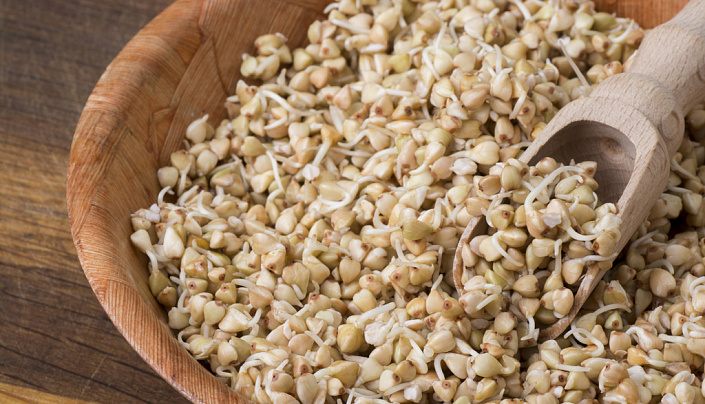 проростки зеленой гречки