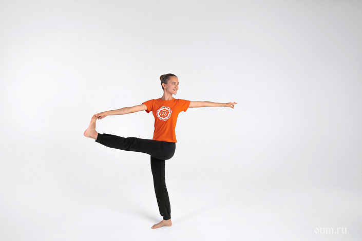 Паривритта Уттхита Пада Хастасана