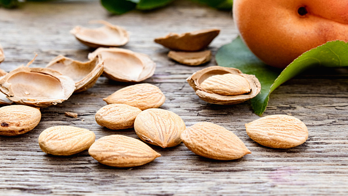 ядра абрикоса фото