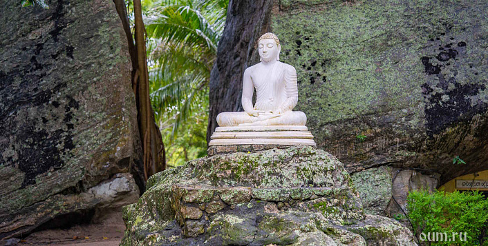 Джатака о быстрой птице