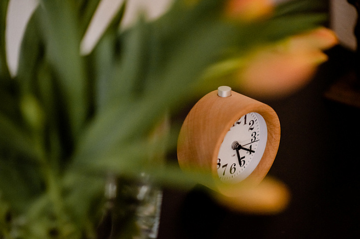 часы будильник за кустом