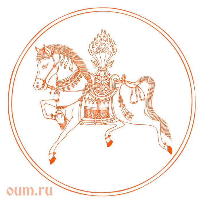 ветер конь рисунок фото