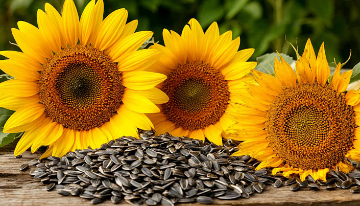 Семечки подсолнечные