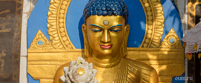 Сутра об учении Будды сотрясающее землю