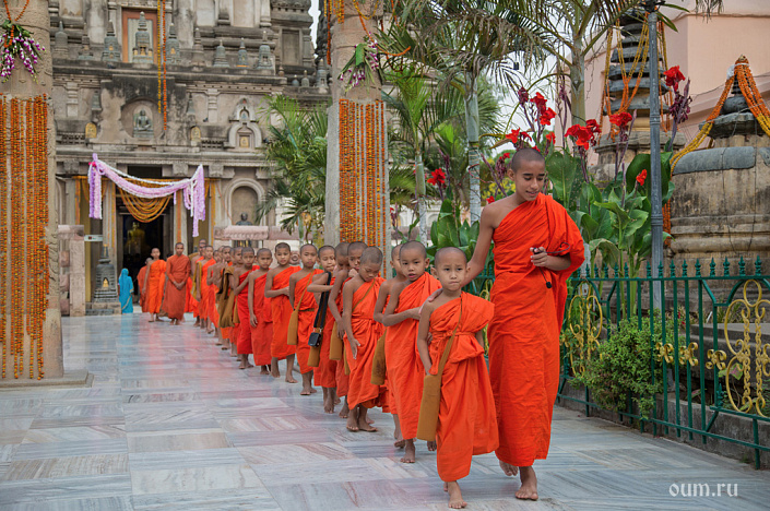 буддийские дети монахи