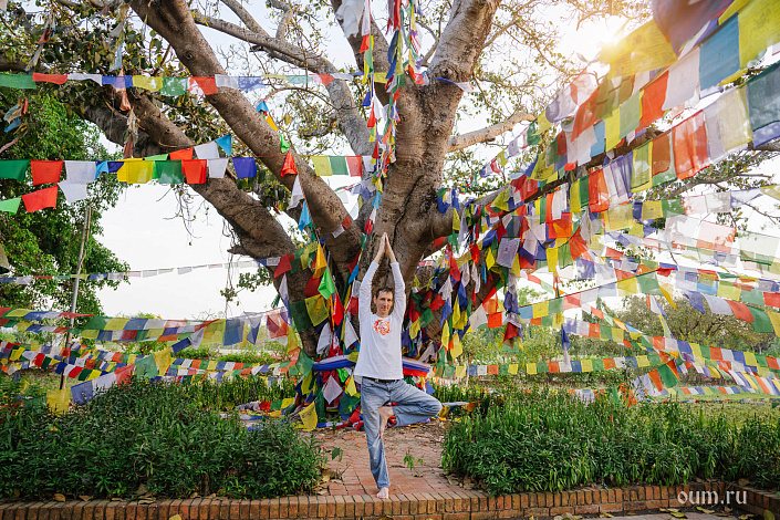 Врикшасана - поза дерева фото