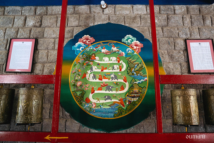 Шаматха фото