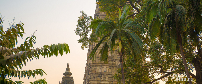 Вималакирти нирдеша сутра. Глава 10. Поведение бодхисаттвы