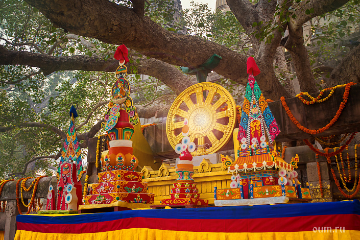 буддизм, дерево