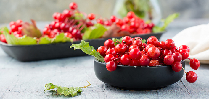 Калина красная: всё о пользе, применении и выращивании ягоды здоровья