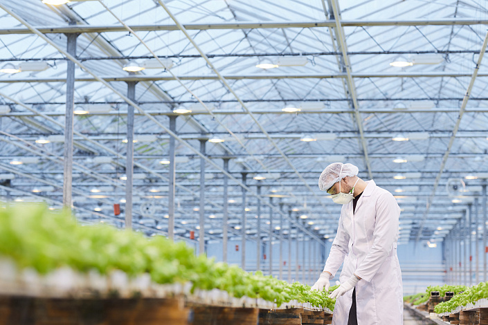 теплица, мужчина в халате