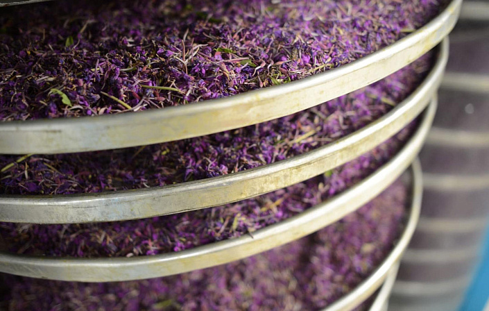 Фото 3 Сушка