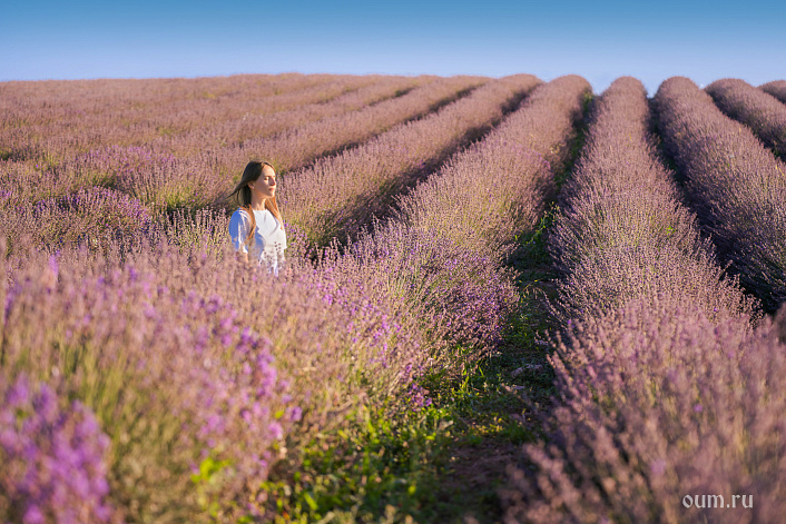 девушка в цветах лаванды фото