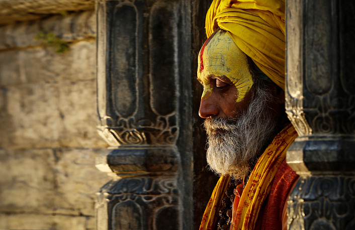 индийский брахман