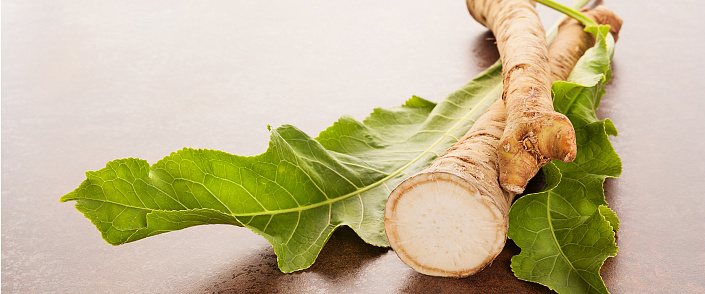 корни и листья хрена