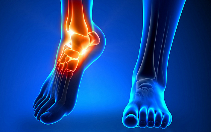 стопы человека в разрезе