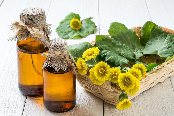 Мать-и-мачеха в косметологии фото