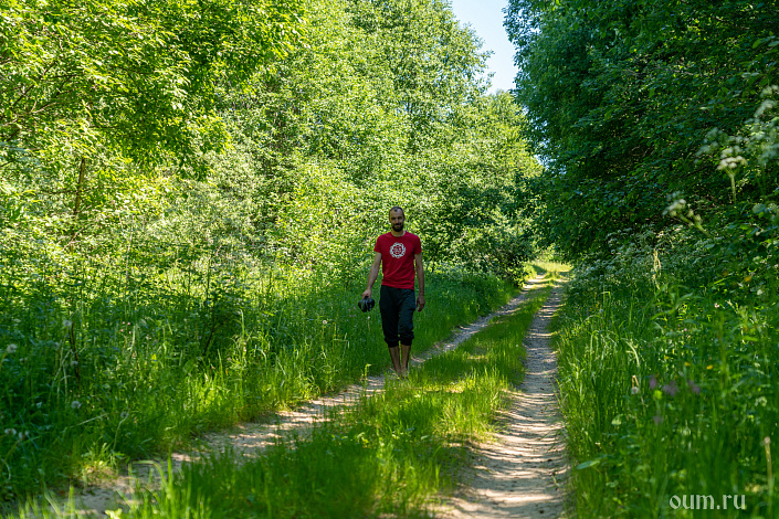 прогулка на природе