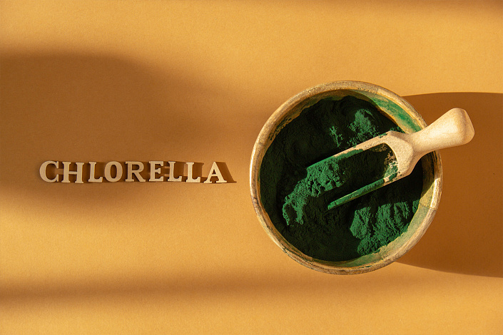 хлорелла фото