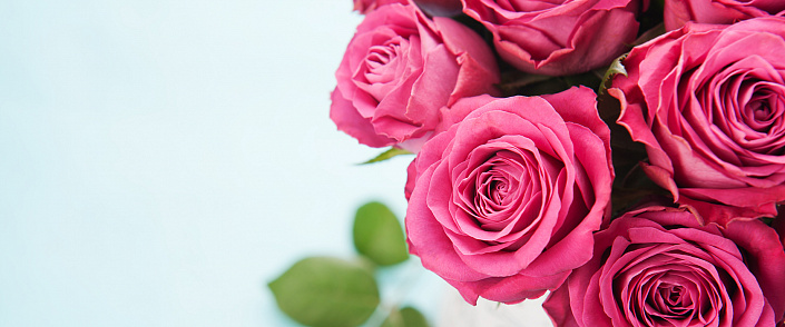 Роза — символ мира и любви