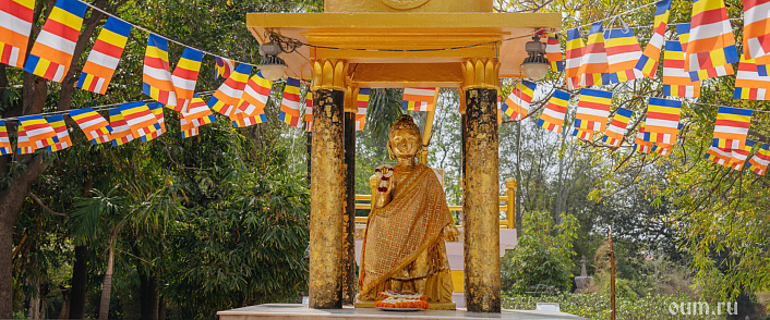 Джатака о борове столяра