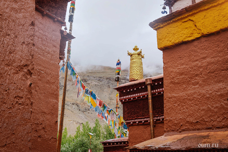 Чем более осознанными мы становимся