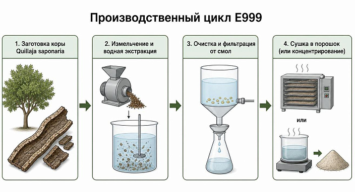 Схема 4 этапов производства добавки E999, показывающая экстракцию, очистку и сушку коры дерева квиллахи