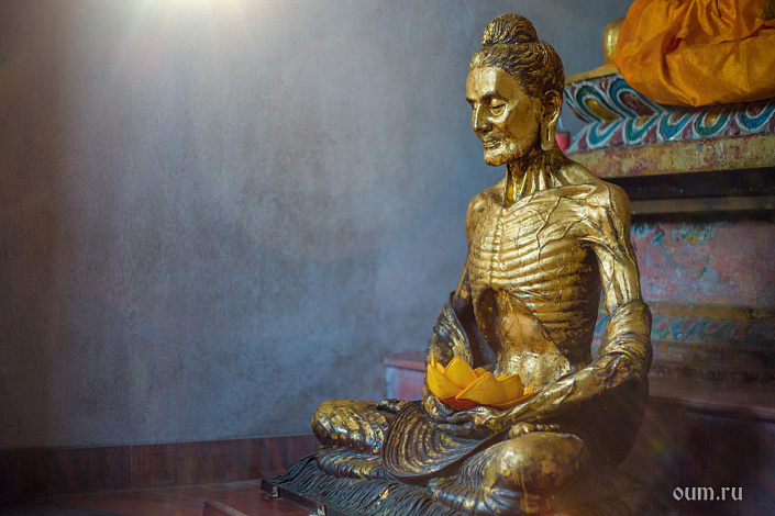 Будда, статуэтка, аскезы