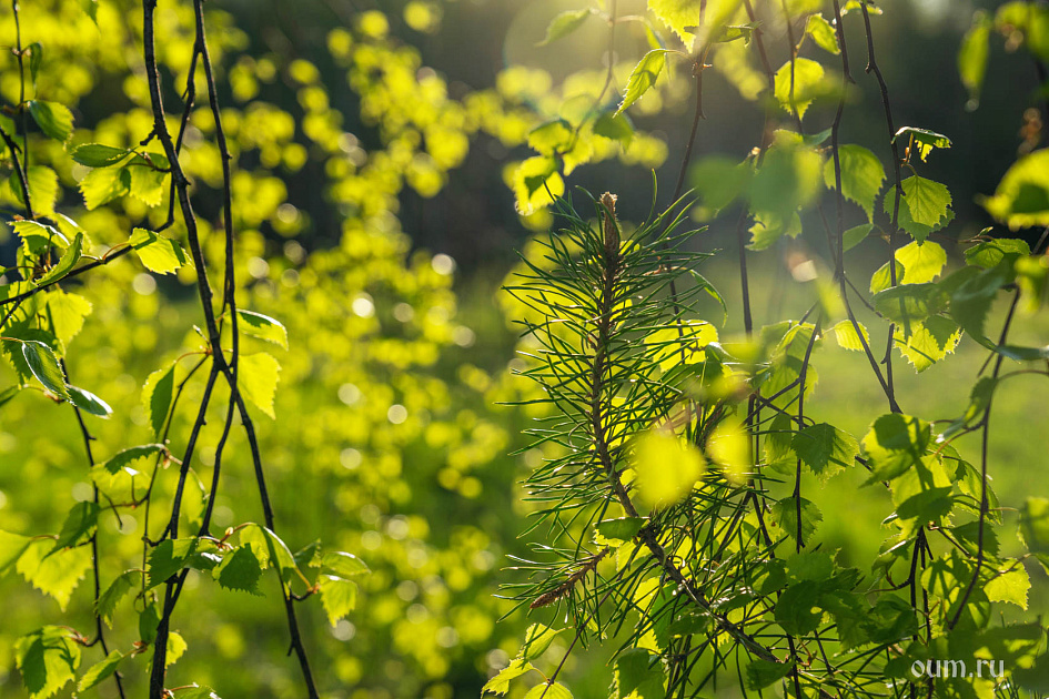 Причинно-следственная связь абсолютна