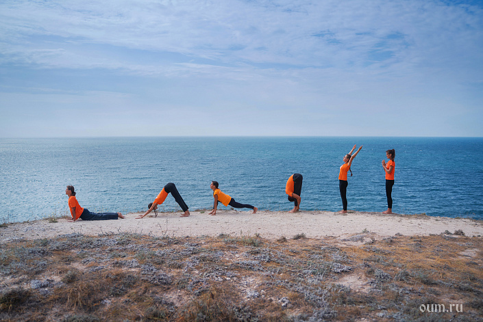 асаны, море, собака мордой вниз