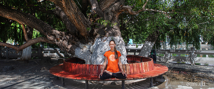 йогиня медитирует под деревом