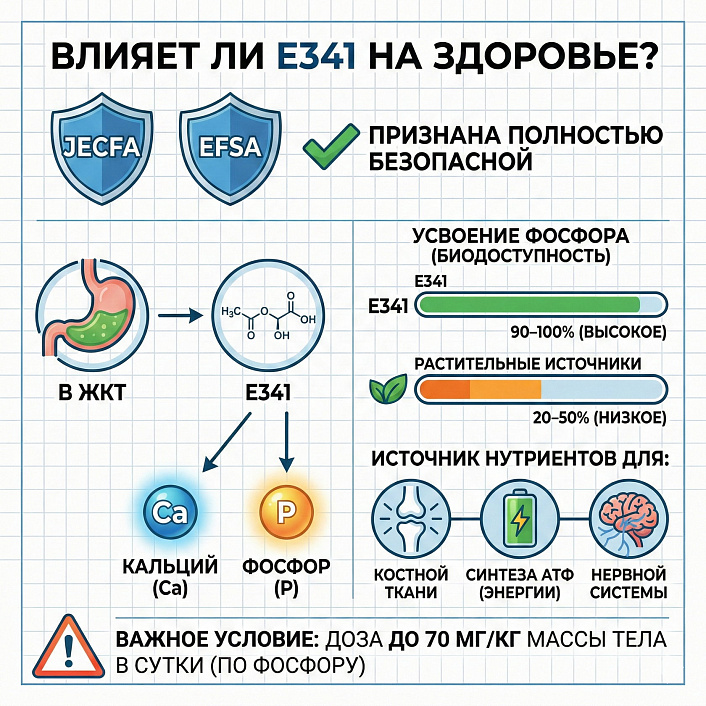 Инфографика о добавке Е341 демонстрирует 100% усвояемость фосфора, пользу для костей и безопасность для здоровья.