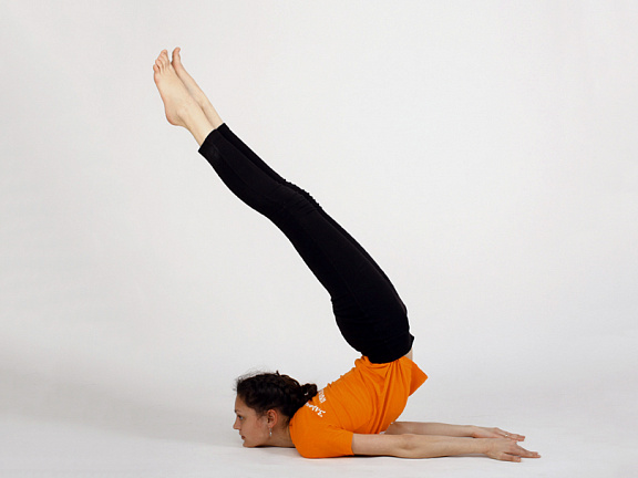 Шалабхасана  фото