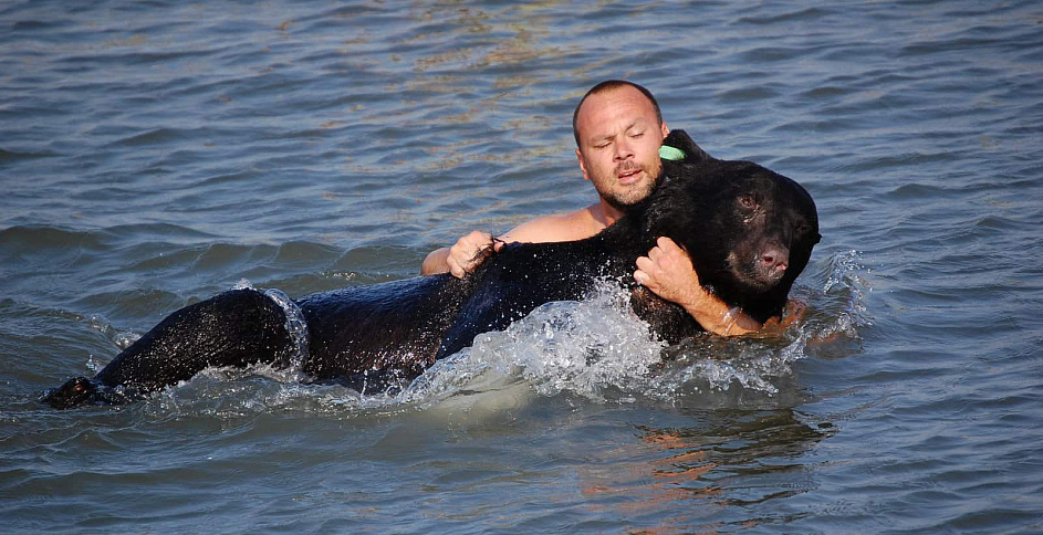 Храбрый биолог спас тонущего чёрного медведя весом 180 кг