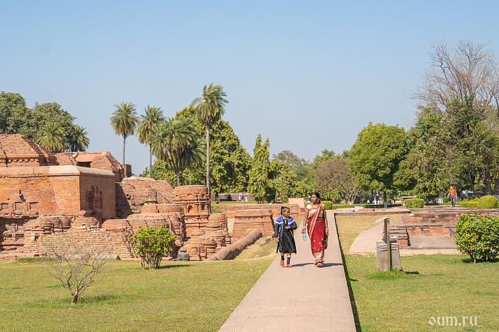 наланда в Индии фото