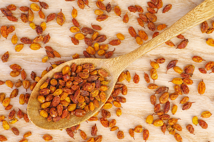 сушеные ягоды облепихи фото