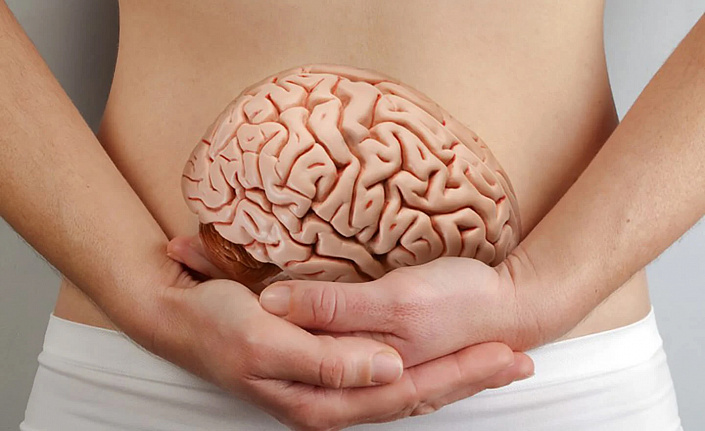 Связь кишечника и мозга: как это работает